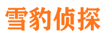 大柴旦捉小三公司